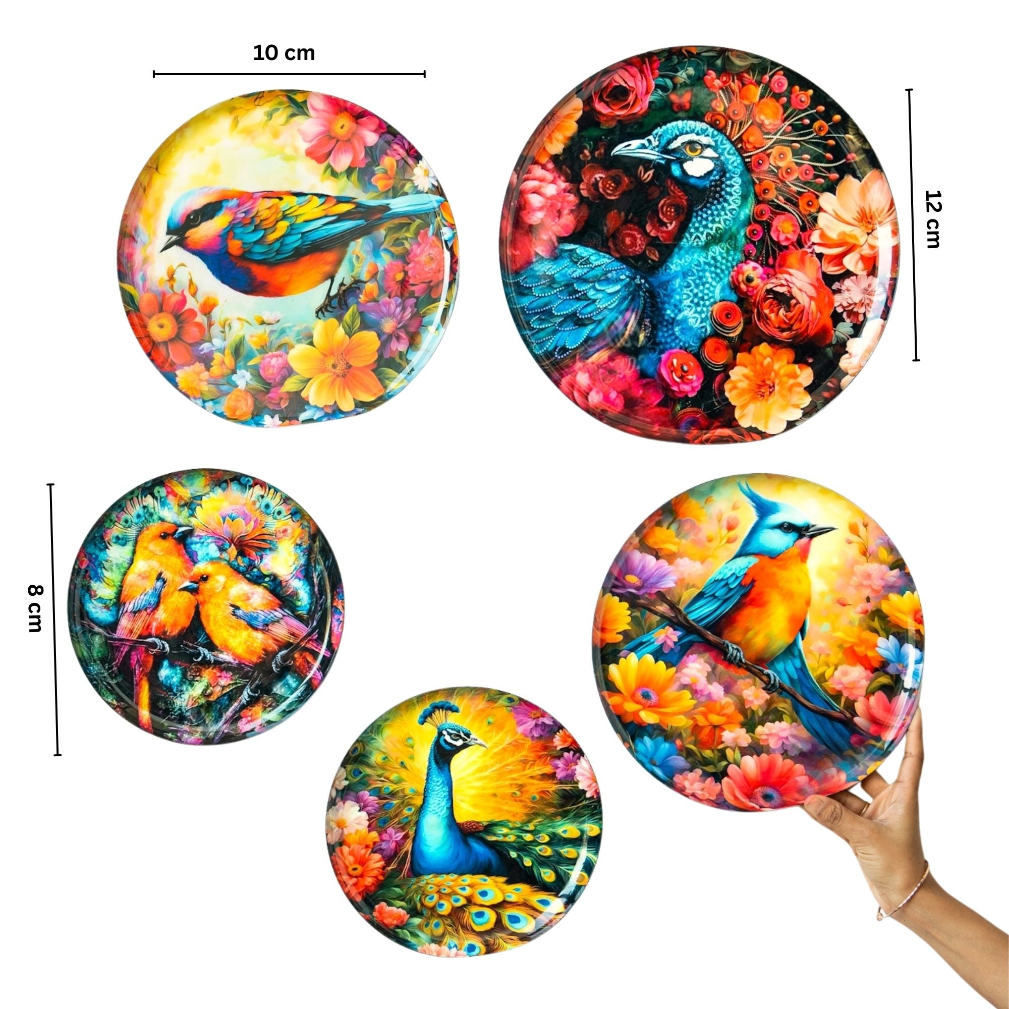 Pakshi Wall Plates - Set of 5