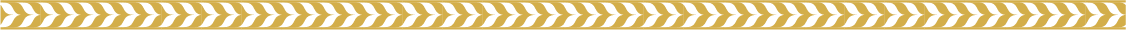 Decorative bottom border