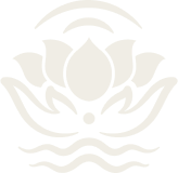 Mindful Living