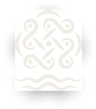 Global Roots